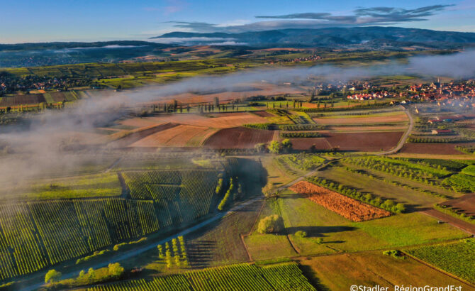 Paysage 2020-10 @ Stadler RGE (5)