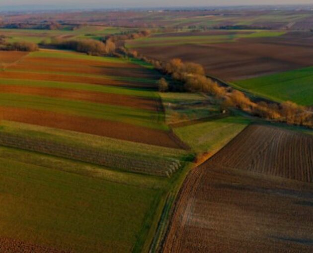 Capture d’écran 2025-10-23 173801