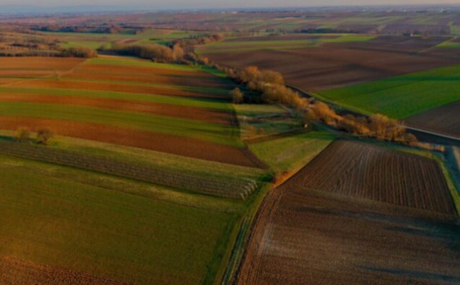 Capture d’écran 2025-10-23 173801